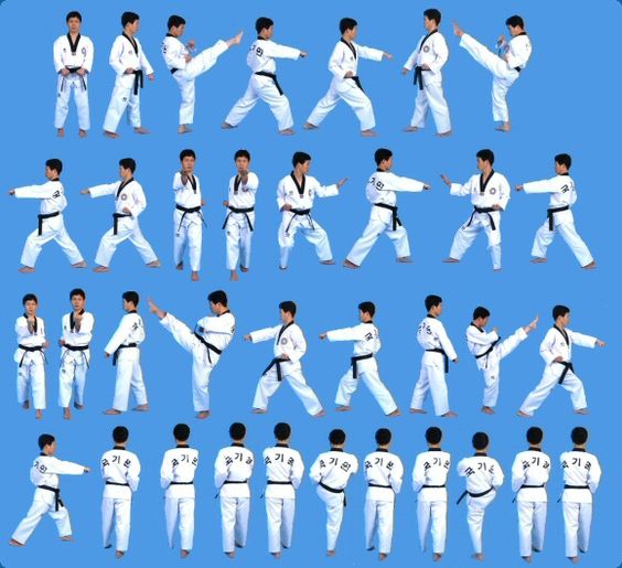 complete taekwondo poomsae pdf file
